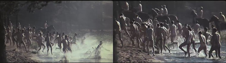 Finland soldiers nude in the water  with horses